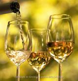 Wine Tasting and Ancient Corinth - Excursions Holiday in Greece